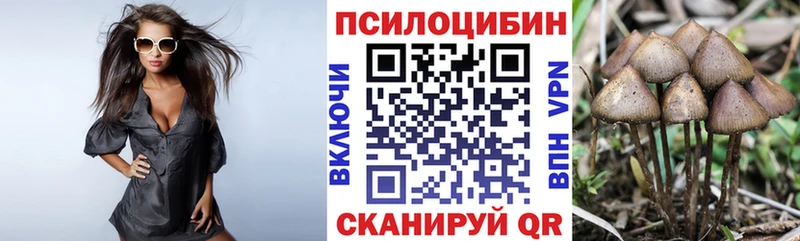 Галлюциногенные грибы мицелий  Керчь 